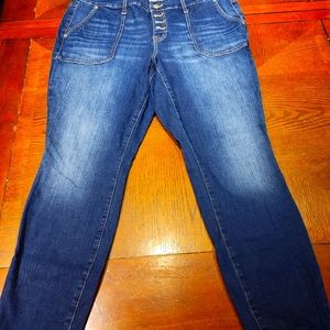 Torrid Button Fly Vintage Jeans size 16